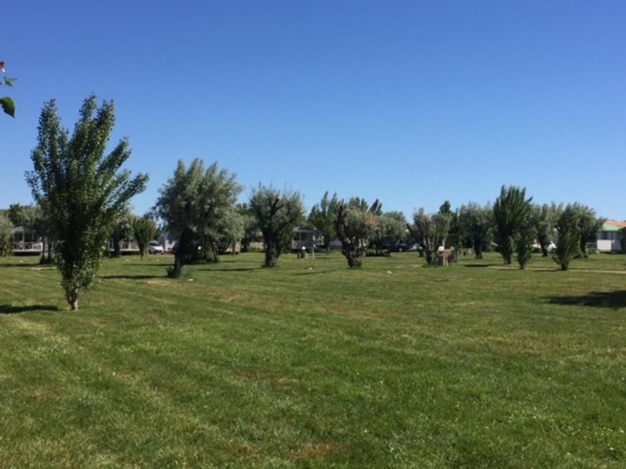 Camping Phare Ouest Saint-Denis-dʼOléron Kültér fotó